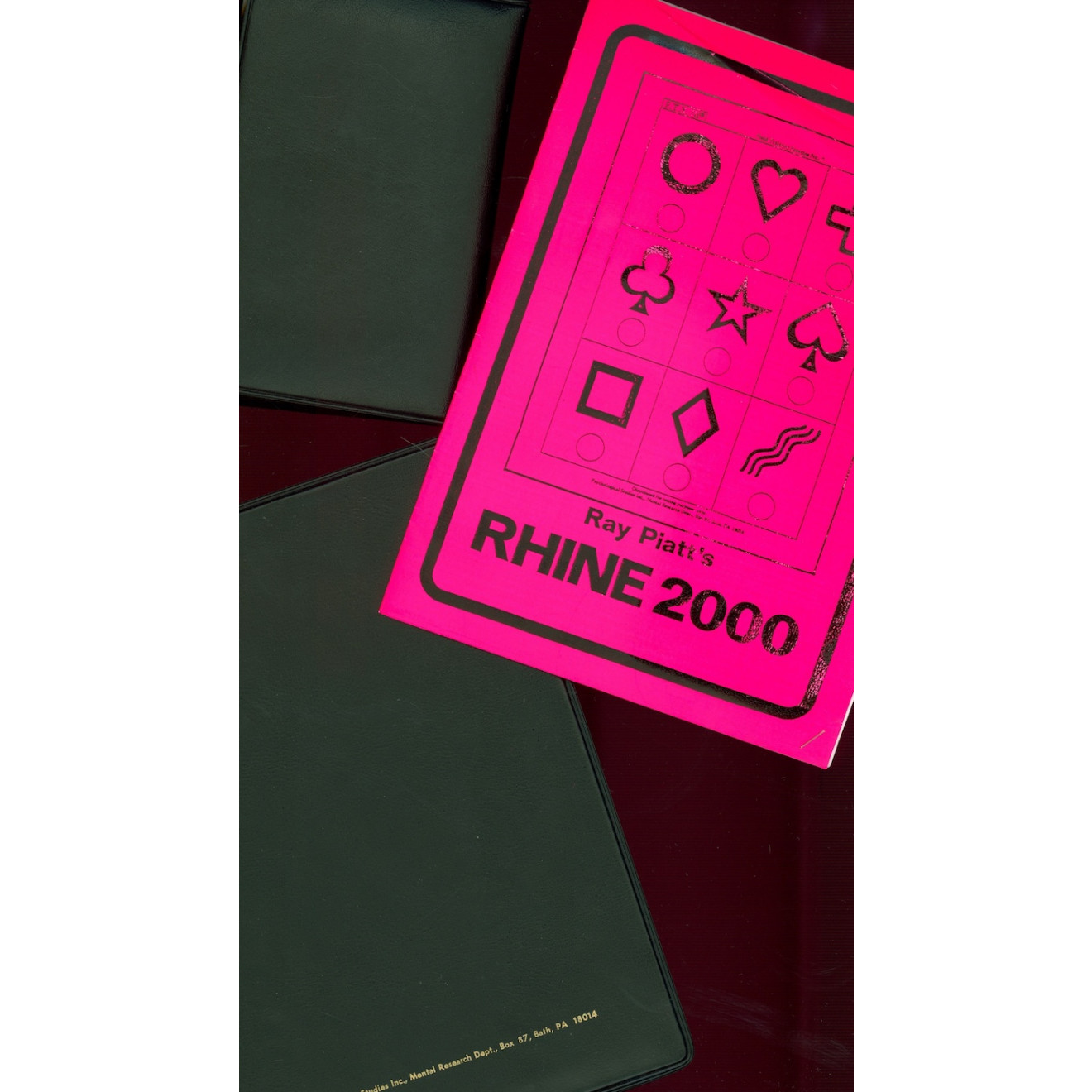 Rhine 2000 III